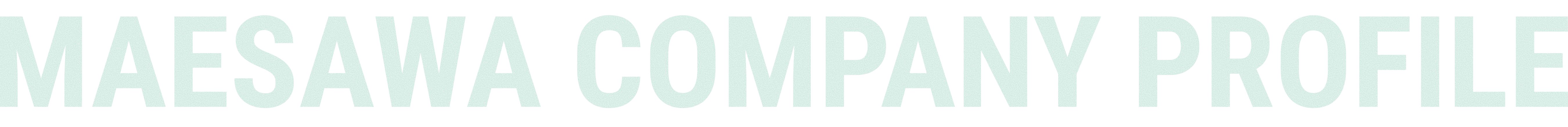 Maesawa Company Profile
